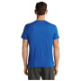 Camiseta de hombre Icebreaker Men Merino 150 Tech Lite SS Tee Range Stripes
