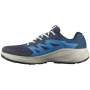 Zapatillas de carrera para hombre Salomon Alphaglide Gore-Tex