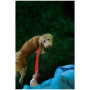 Correa para perro Nite Ize LED NiteDog