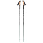 Bastones de senderismo Black Diamond Pursuit FLZ Trekking Poles