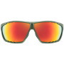 Gafas de sol Uvex Sportstyle 706