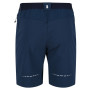 Pantalones cortos de hombre Regatta Mountain ShortsII