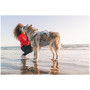 Arnés para perro Ruffwear Swamp Cooler Harness