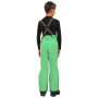 Pantalones de esquí para niños Kilpi Mimas-J GRN