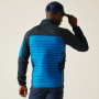 Chaqueta de hombre Regatta Ceden Hybrid