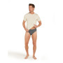 Calzoncillos de hombre Icebreaker Mens Anatomica Briefs