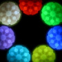 Juguete para perro Nite Ize Glowstreak Rechargeable Led Ball