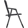 Silla Brunner Aravel Vanchair