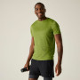 Camiseta de hombre Regatta Fingal Edition