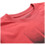 Camiseta de hombre Alpine Pro Bolen 2