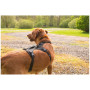 Arnés para perro Mountain Paws 3-Strap Dog Harness
