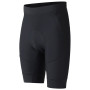 Pantalones cortos de hombre Dare 2b Ultra short
