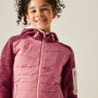 Chaqueta para niños Regatta Junior Newhill Hybrid