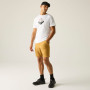 Camiseta de hombre Regatta Fingal Graphic T-Shirt