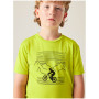 Camiseta para niños Dare 2b Amuse III Tee Frgle Sprout