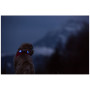 Luz para perro Curli Luumi LED