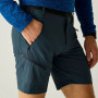 Pantalones cortos de hombre Regatta Xert Stretch Shorts