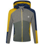 Sudadera funcional para niños Dare 2b Hero Core Stretch amarillo/verde AntMoss/Agav