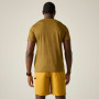 Camiseta de hombre Regatta Fingal Edition