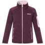 Sudadera para niños Regatta Junior Newhill Fig Powder Lilac rojo FigPowLilac