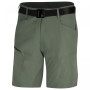 Pantalones cortos de hombre Husky Kimbi M (2020) verde sv.šedozelená