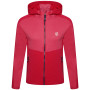 Sudadera funcional para niños Dare 2b Hastily Core Stretch rosa VirtPnk/VirP
