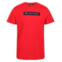 Camiseta de hombre Regatta Cline VI rojo True Red