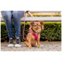 Correa para perro Curli Stretch Comfort Leash