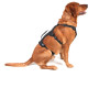 Arnés para perro Mountain Paws 3-Strap Dog Harness