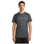 Camiseta de hombre Icebreaker Men Merino 150 Tech Lite SS Tee Range Stripes