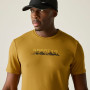 Camiseta de hombre Regatta Fingal Stretch