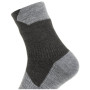Calcetines impermeables SealSkinz WP All Weather Ankle