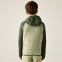 Chaqueta para niños Regatta Junior Andreson Hybrid DkKhaki/LtSg