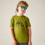 Camiseta para niños Dare 2b Amuse III Tee Goldn Cypress