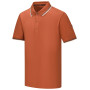 Camiseta de hombre Regatta Adryan Polo