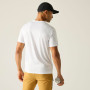 Camiseta de hombre Regatta Fingal Graphic T-Shirt