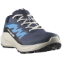 Zapatillas de carrera para hombre Salomon Alphaglide Gore-Tex