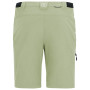 Pantalones de hombre Regatta Anti-Insect Travel Light Z/O Trousers