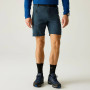 Pantalones cortos de hombre Regatta Xert Stretch Shorts