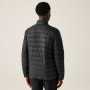 Chaqueta de hombre Regatta Marizion