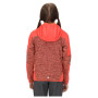 Sudadera para niños Regatta Dissolver V