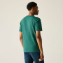 Camiseta de hombre Regatta Rendro