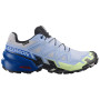Zapatillas de carrera para hombre Salomon Speedcross 6 GTX Icon