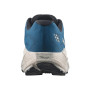 Calzado de hombre Salomon Aero Blaze 4 Grvl