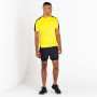 Camiseta de hombre Dare 2b Discernible Tee