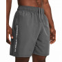 Pantalones cortos de hombre Under Armour Woven Wdmk Shorts