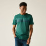 Camiseta de hombre Regatta Rendro