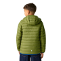 Chaqueta de invierno para niños Regatta Junior Hooded Marizion Golden Cypress