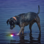 Juguete para perro Nite Ize Glowstreak LED Ball