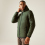 Chaqueta de hombre Regatta Rigain